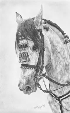 el caballo jerezano